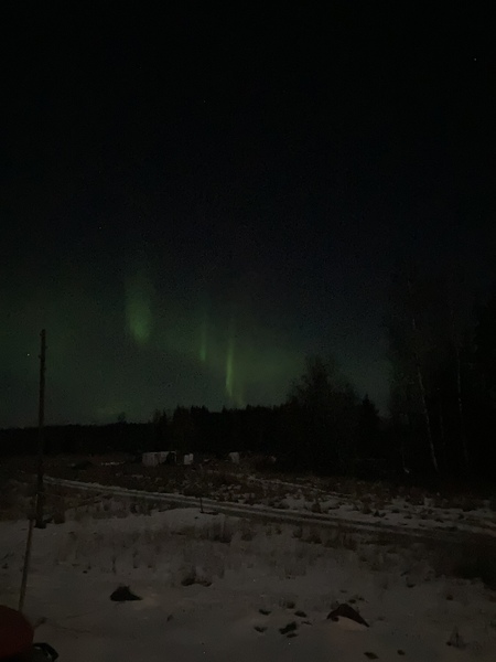 Swagger Inn 170. Autumn is here with a vengeance.  I think we'll just hide under the duvet --with HBFs-- until Spring.