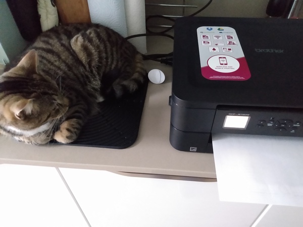 What's your DCat up to today? (Thread 9)