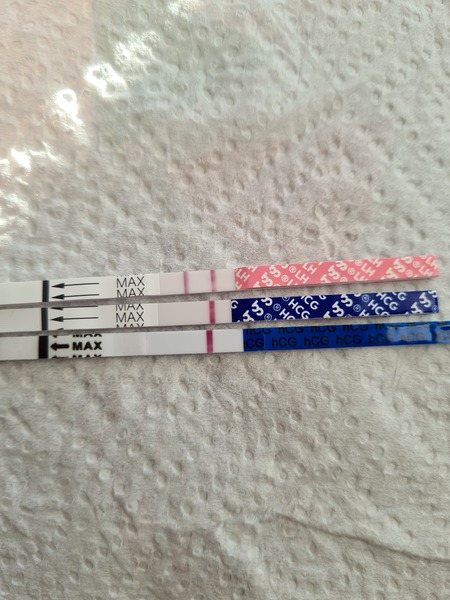 Positive opk for 6 days... help