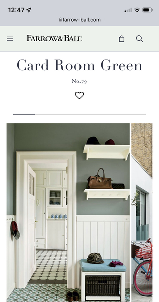 What do you think of this carpet / paint combi?