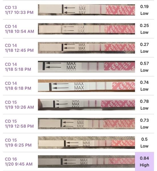 Ovulation testing!!!