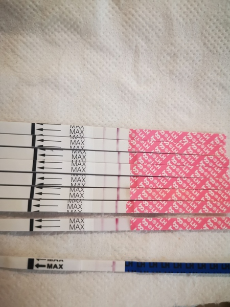 Ttc after miscarriage 🤞🌈✨