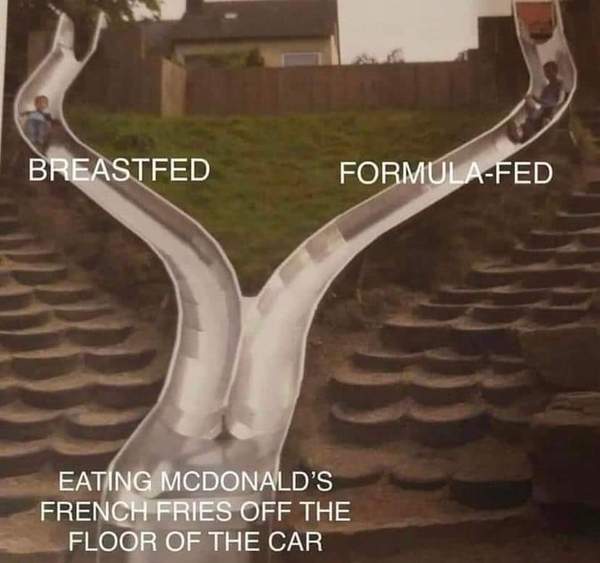 Breast fed or bottle fed...