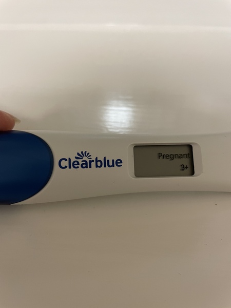 Due September 2022 - Thread #2