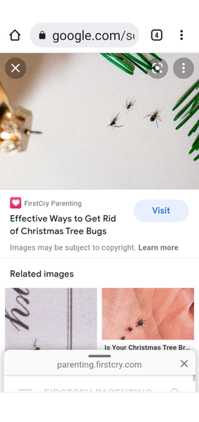 Oh my lord, what are these things? Help!