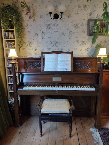 Does anyone fancy a piano chat thread?