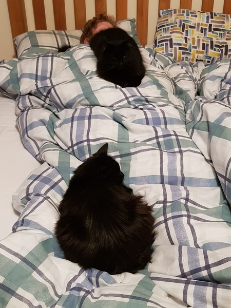 Ollie, Paws, friends and family