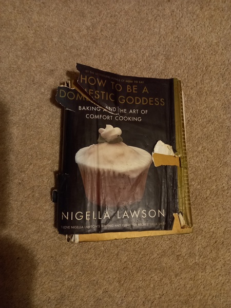 Best Nigella book