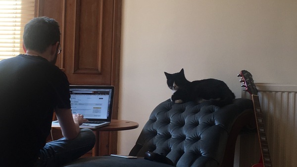 I need your photos of cats looking out of windows.  And I need them now!