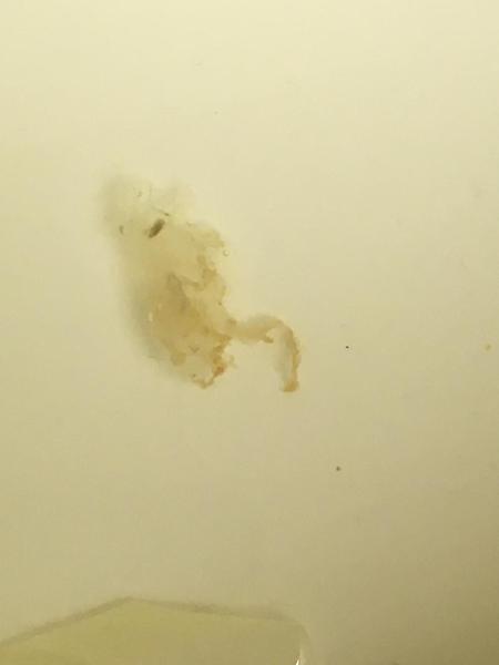 Floaters in DD(3) wee