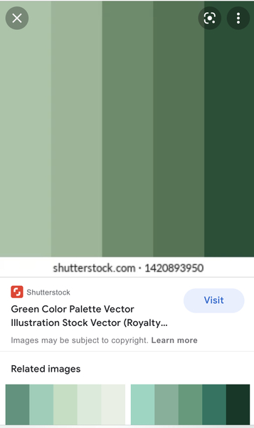 Please vote quickly which paint goes better with these curtains pls