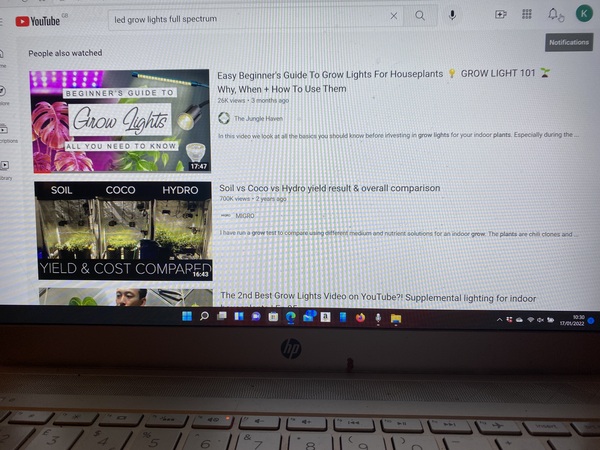 lights to help grow indoor seedlings and herbs
