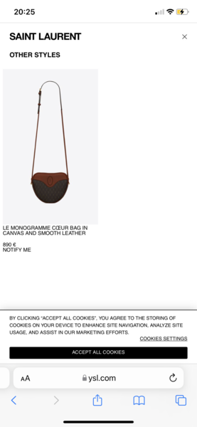 What do you think of this Louis Vuitton?