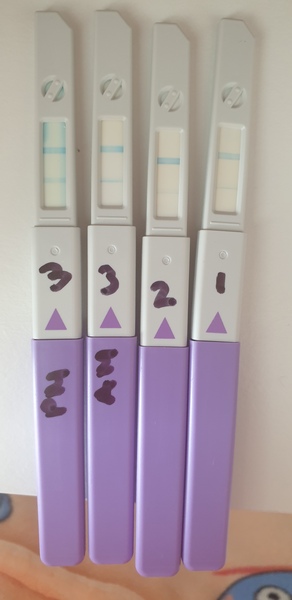 Ovulation peak tomorrow?