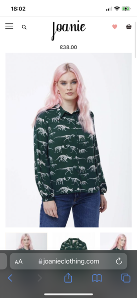 I think someone laughed at my dinosaur jumper