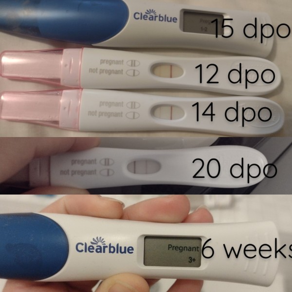 Due September 2022
