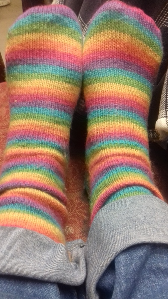 AIBU to wear silly socks for the rest of my life?