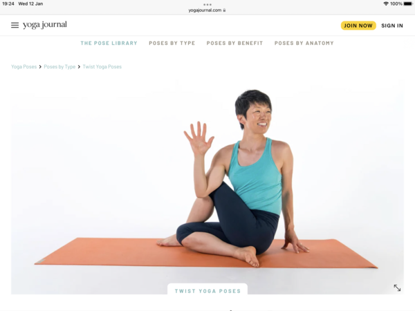 Adrienne 30 days of yoga- MOVE