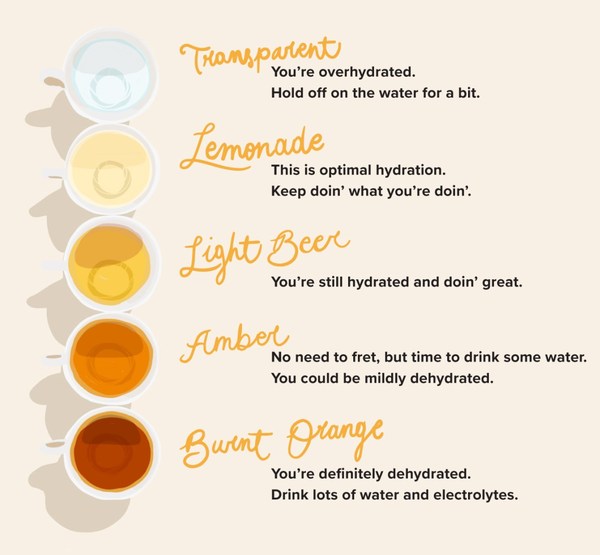 "Just drink more water" isn't viable!!