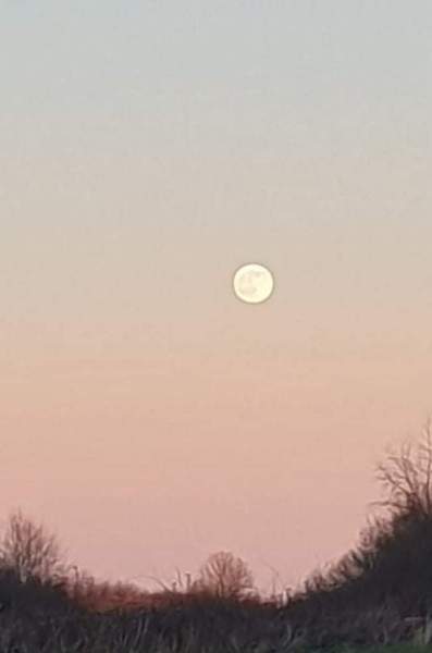 Any Witches Here? Part 16