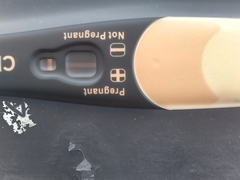 BFP??