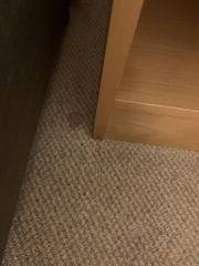 Lads judge this hotel room