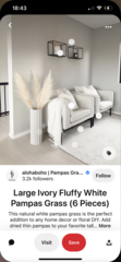 Help me decorate my new house