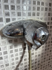 Shower cartridge or total shower replacement