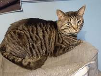 Brexit mega thread part 5 : new year  new PM? Partygate continues...