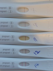 AF due today, pregnancy tests are progressing and I've had a bleed today.