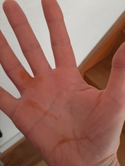 WTF is this? Dr Google has no answers.  PHOTOS!!