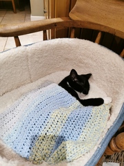 To keep my cat indoors..?