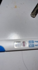 Pregnancy late period