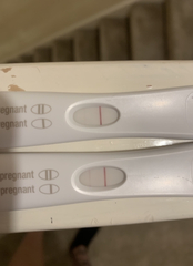 Due September 2022