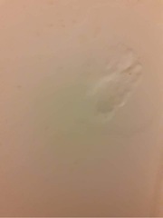 To ask what this is? (Pics included)