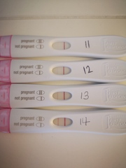 Ttc after miscarriage 🤞🌈✨ lucky thread 3!