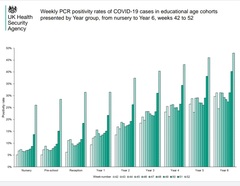 Data, Stats and Daily Numbers started 1st January 2022