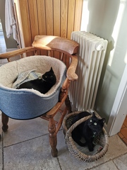 To keep my cat indoors..?