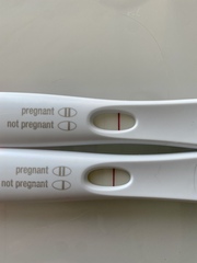 FRER EVAP