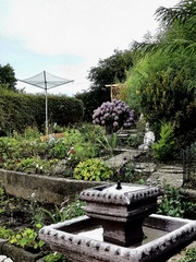 Show me your gardens for inspiration
