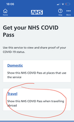 Vaccination pass for travel