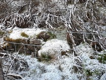 Any Witches Here? Part 16