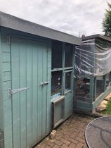 Rabbits - indoors or outdoors?