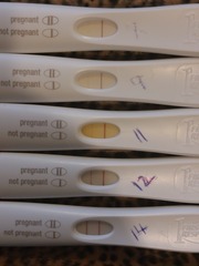 AF due today, pregnancy tests are progressing and I've had a bleed today.
