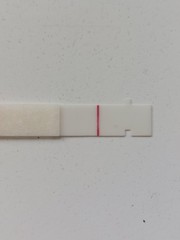8dpo FRER ridiculous vvfl can anyone else see it ?