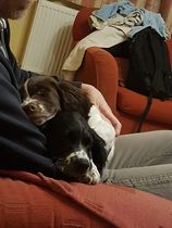 Can we have a pet appreciation thread?