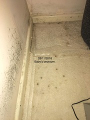 Help please