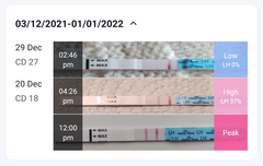 LH Rising but BFN 11DPO - Advice please!!