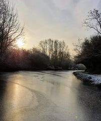 Festive Frugaleering