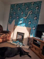 Opinions on my fireplace and what colour to paint it to?